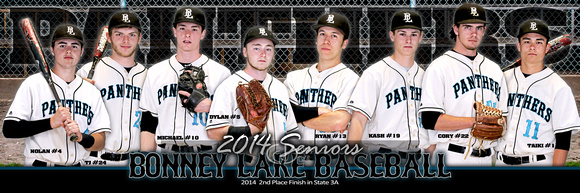 2014 Seniors BLHS Baseball